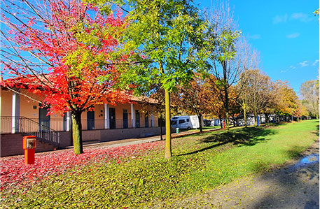 Bild Herbstfarben Campingplatz Lido Toce
